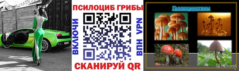 магазин Сельцо KRAKEN ONION Галлюциногенные грибы MAGIC MUSHROOMS
